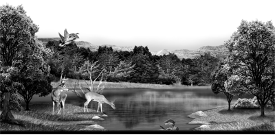 001SC-DEER.png 001SC-DEER - Image 1