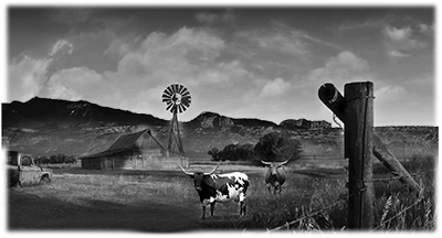 001SC-WESTERN.png 001SC-WESTERN - Image 1