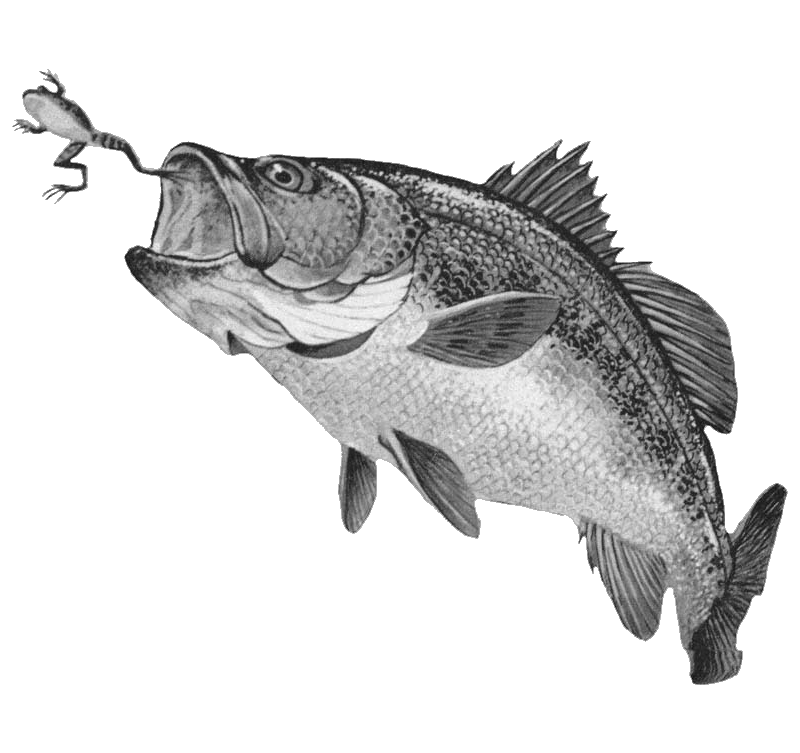 001ST-FISHING.png 001ST-FISHING - Image 1