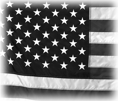 002ST-PATRIOTIC.png 002ST-PATRIOTIC - Image 1