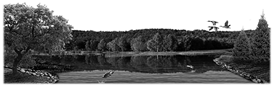 003SC-FISH.png 003SC-FISH - Image 1