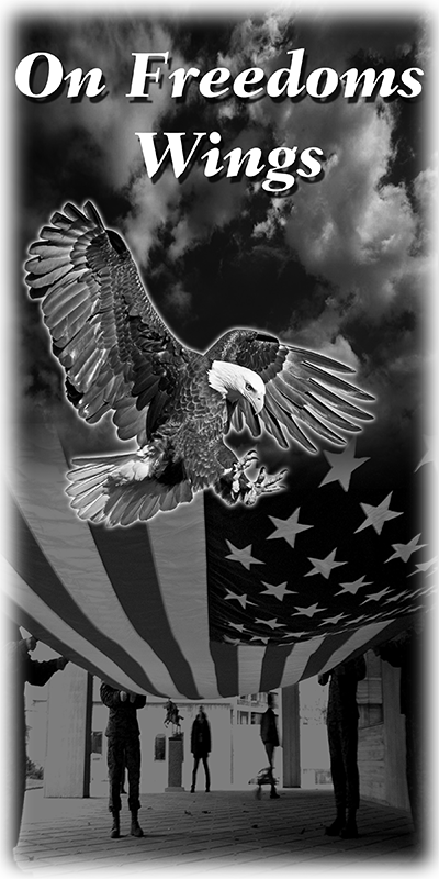 003SC-PATRIOTIC.png 003SC-PATRIOTIC - Image 1