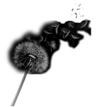 004ST-FLORAL.png 004ST-FLORAL - Image 1