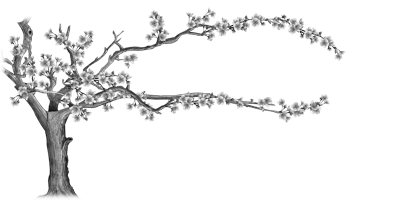 005SC-FLORAL.png 005SC-FLORAL - Image 1