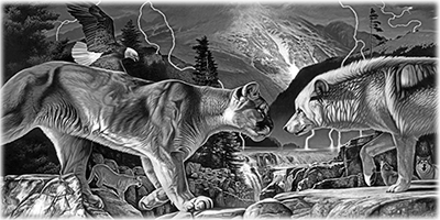 005SC-WILD.png 005SC-WILD - Image 1