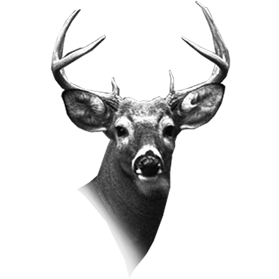 005ST-DEER.png 005ST-DEER - Image 1