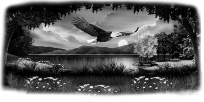 006SC-BIRDS.png 006SC-BIRDS - Image 1