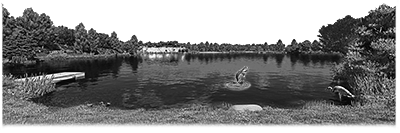006SC-FISH.png 006SC-FISH - Image 1