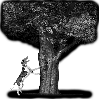 006ST-HUNTING.png 006ST-HUNTING - Image 1