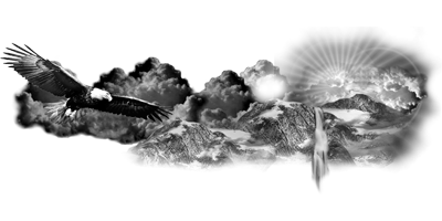 007SC-BIRDS.png 007SC-BIRDS - Image 1
