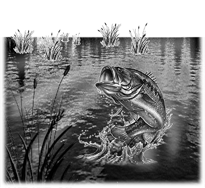 007SC-FISH.png 007SC-FISH - Image 1