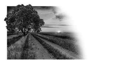 007SC-LANDSCAPE.png 007SC-LANDSCAPE - Image 1
