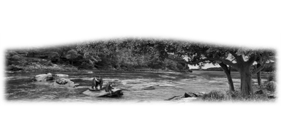 007SC-WILD.png 007SC-WILD - Image 1