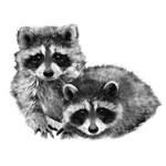 007ST-WILD.png 007ST-WILD - Image 1