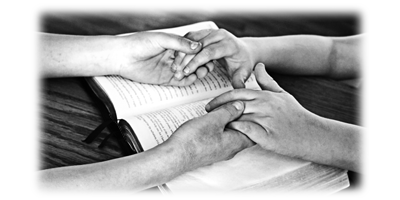 008SC-Book.png 008SC-Book - Image 1