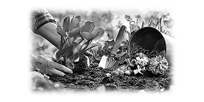 008SC-HOBBIES-MISC.png 008SC-HOBBIES-MISC - Image 1