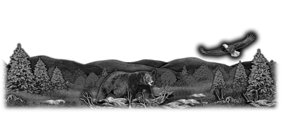 008SC-WILD.png 008SC-WILD - Image 1