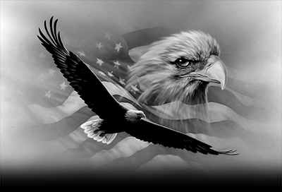 009SC-PATRIOTIC.png 009SC-PATRIOTIC - Image 1