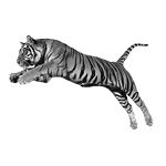 009ST-WILD.png 009ST-WILD - Image 1