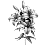 010ST-FLORAL.png 010ST-FLORAL - Image 1