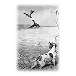 010ST-HUNTING.png 010ST-HUNTING - Image 1