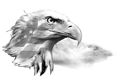 010ST-PATRIOTIC.png 010ST-PATRIOTIC - Image 1