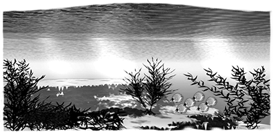 011SC-FISH.png 011SC-FISH - Image 1