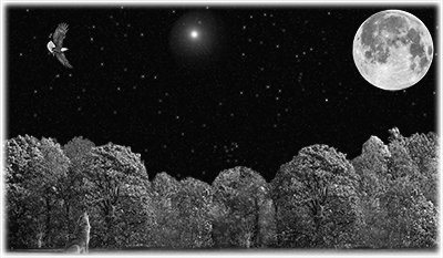 011SC-WILD.png 011SC-WILD - Image 1