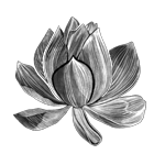 011ST-FLORAL.png 011ST-FLORAL - Image 1