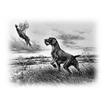 011ST-HUNTING.png 011ST-HUNTING - Image 1