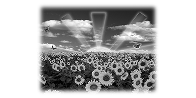012SC-FLORAL.png 012SC-FLORAL - Image 1