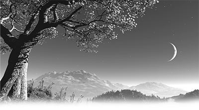 012SC-LANDSCAPE.png 012SC-LANDSCAPE - Image 1