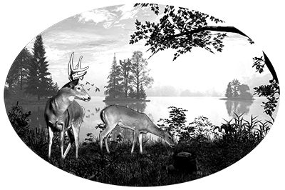 012ST-DEER.png 012ST-DEER - Image 1
