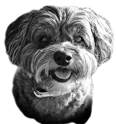 012ST-PET.png 012ST-PET - Image 1