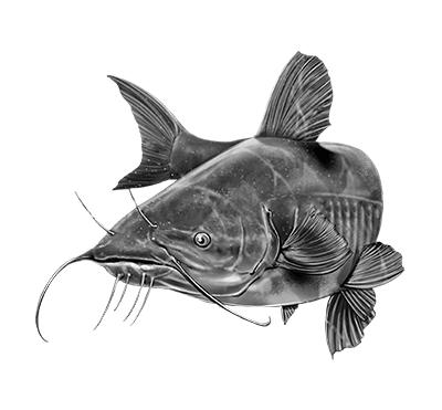 013ST-FISH.png 013ST-FISH - Image 1