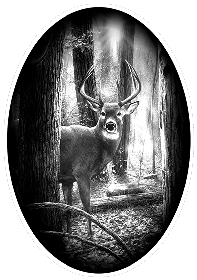 014ST-DEER.png 014ST-DEER - Image 1