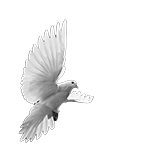 015ST-BIRDS.png 015ST-BIRDS - Image 1