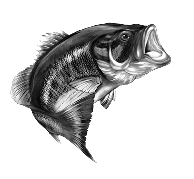 015ST-FISH.png 015ST-FISH - Image 1