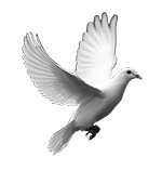 016ST-BIRDS.png 016ST-BIRDS - Image 1