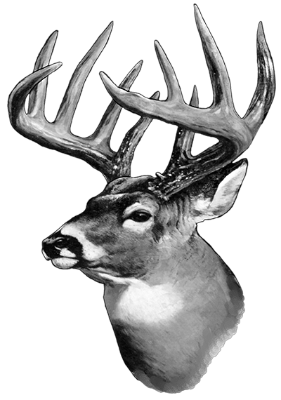 016ST-DEER.png 016ST-DEER - Image 1