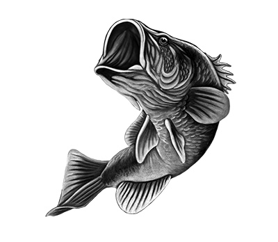 016ST-FISH.png 016ST-FISH - Image 1