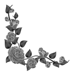 016ST-FLORAL.png 016ST-FLORAL - Image 1