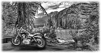 017SC-VEHICLES.png 017SC-VEHICLES - Image 1