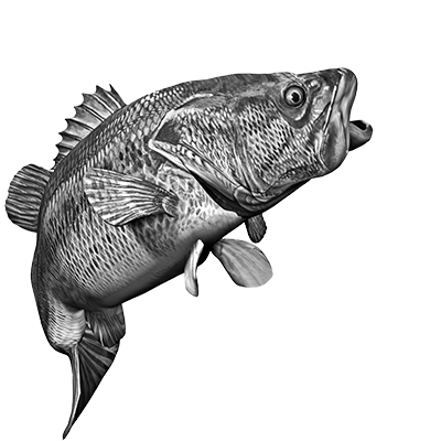 017ST-FISH.png 017ST-FISH - Image 1