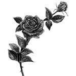 017ST-LANDSCAPE.png 017ST-LANDSCAPE - Image 1