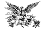 020ST-BIRDS.png 020ST-BIRDS - Image 1