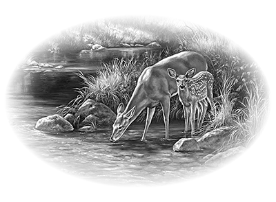 020ST-DEER.png 020ST-DEER - Image 1