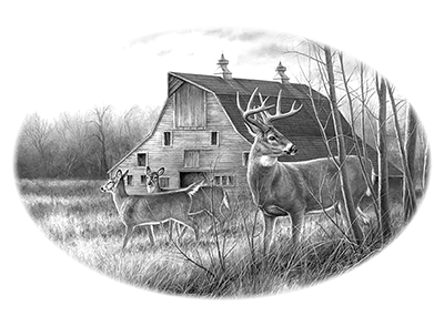 021ST-DEER.png 021ST-DEER - Image 1