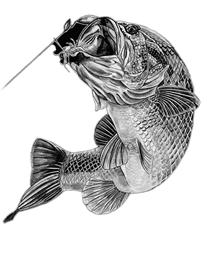 021ST-FISHING.png 021ST-FISHING - Image 1