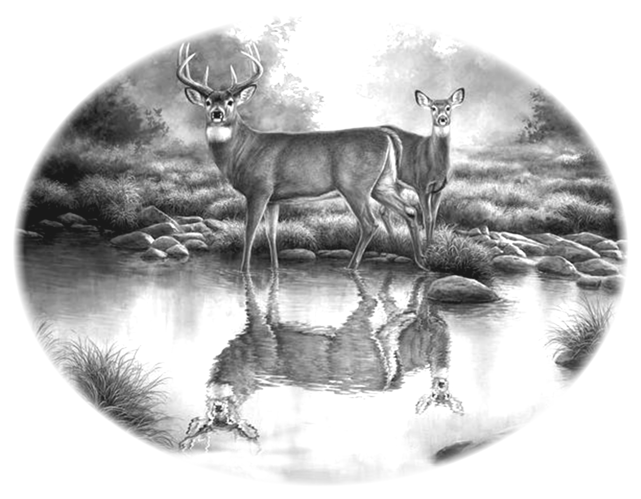 022ST-DEER.png 022ST-DEER - Image 1